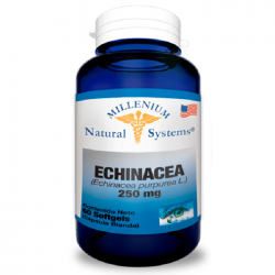 Echinacea 250 Mg x 60 Soft - Natural Systems