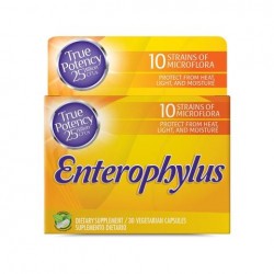 Enterophylus X 30 Cap - Healthy America