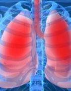 Productos para Sistema Respiratorio